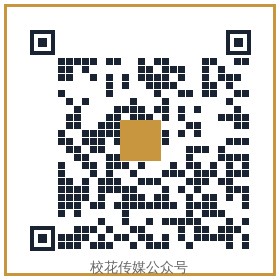 萝莉岛传媒公众号二维码